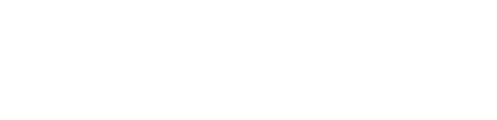 Mountain Sky footer logo